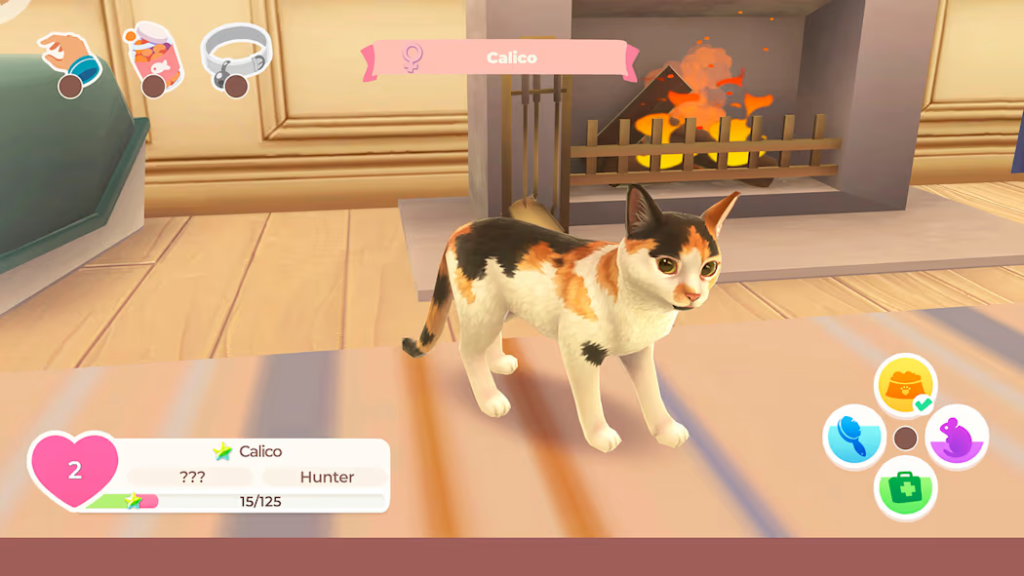 Cat Rescue Story
