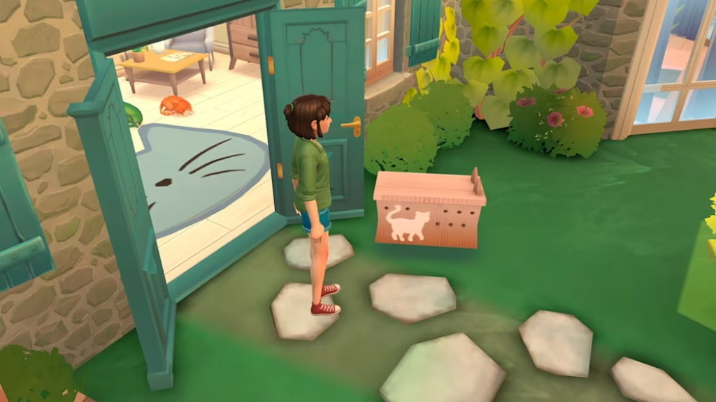 Cat Rescue Story
